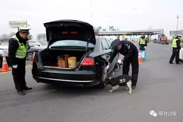 警察10秒勇擒逃犯,警察10秒钟擒获毒贩