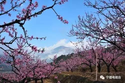 宁德有哪些民族乡,宁德特色村落