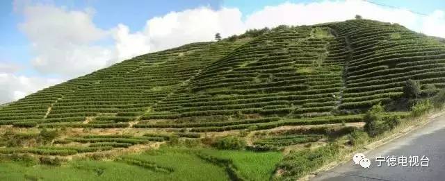 宁德有哪些民族乡,宁德特色村落