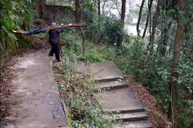 重庆巴南区哪里发展得好,重庆巴南区都有哪些地方