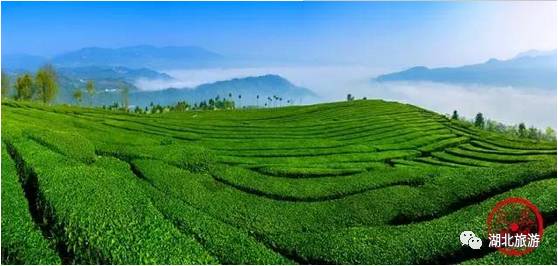 浜斾竴鍘绘櫘娲辫尪灞辨劅鍙楀ぇ鑷劧,娓呮槑鑺傛潵鍒板北閲屼韩鍙楀ぇ鑷劧