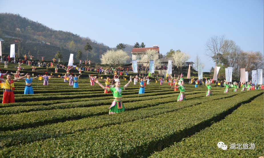 浜斾竴鍘绘櫘娲辫尪灞辨劅鍙楀ぇ鑷劧,娓呮槑鑺傛潵鍒板北閲屼韩鍙楀ぇ鑷劧