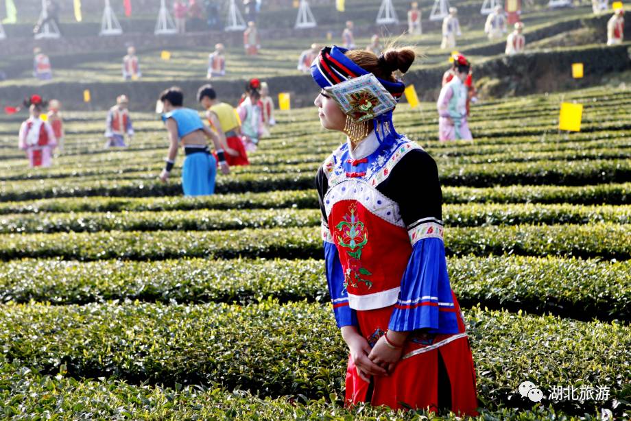 浜斾竴鍘绘櫘娲辫尪灞辨劅鍙楀ぇ鑷劧,娓呮槑鑺傛潵鍒板北閲屼韩鍙楀ぇ鑷劧