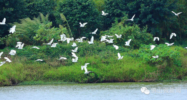 浣涘北婀垮湴瑙傞笩,浣涘北鍗佷匠瑙傞笩鑳滃湴