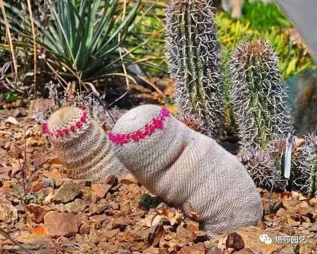 美国109岁老奶奶,109岁奶奶美国