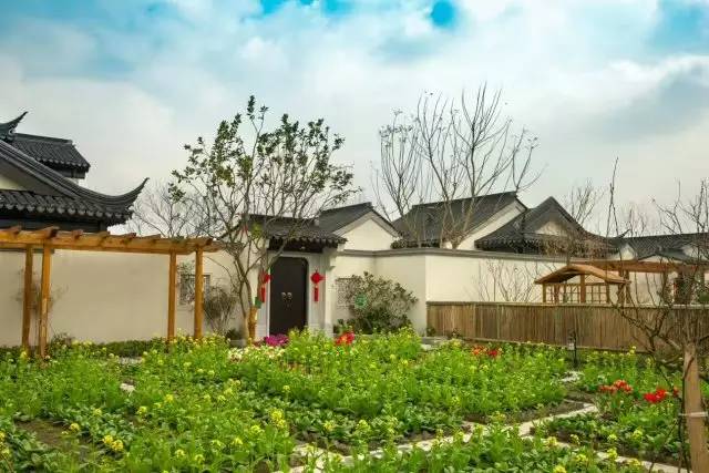 白云村多利农庄,郫都区红光街道白云村