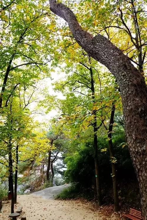 青田旅游路线推荐,青田周末自驾游