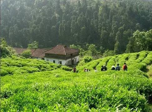 青田旅游路线推荐,青田周末自驾游