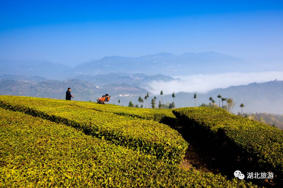 浜斾竴鍘绘櫘娲辫尪灞辨劅鍙楀ぇ鑷劧,娓呮槑鑺傛潵鍒板北閲屼韩鍙楀ぇ鑷劧