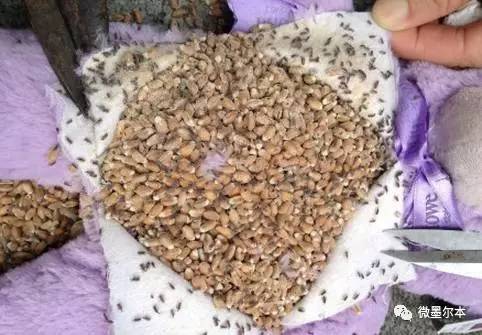 恐怖!中国查获10吨假奶粉!制假窝点现大量澳洲品牌奶粉空罐!A2断货,爱他美停产,妈妈们长点心!