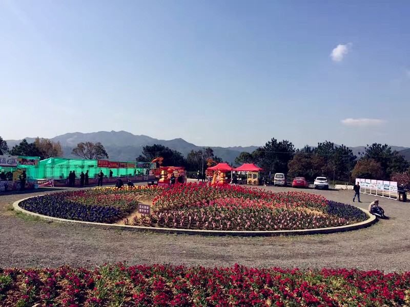 青田旅游路线推荐,青田周末自驾游