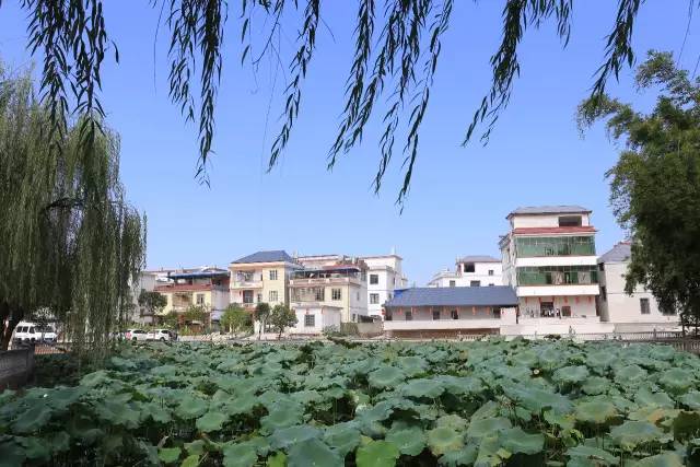 赣州4a级以上国有旅游景区,江西赣州的旅游景区有哪些