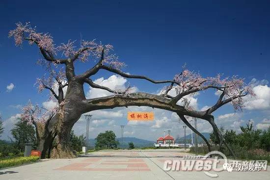 汉中夏季旅游最值得去的地方,2019汉中旅游优惠