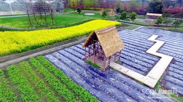 白云村多利农庄,郫都区红光街道白云村
