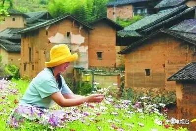 宁德有哪些民族乡,宁德特色村落