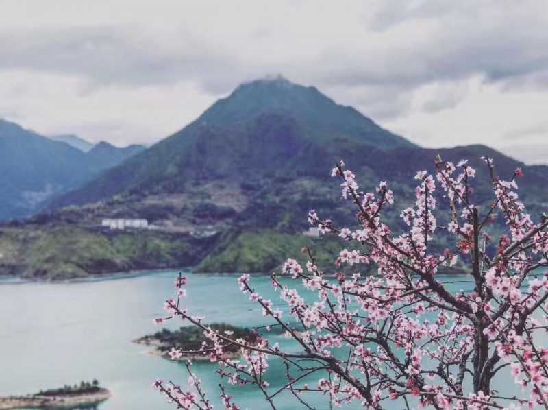 青田旅游路线推荐,青田周末自驾游