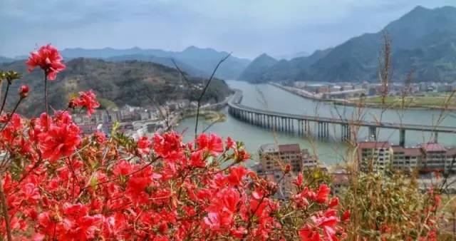 青田旅游路线推荐,青田周末自驾游