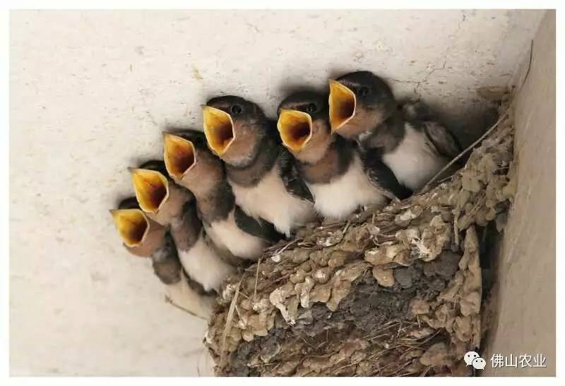 浣涘北婀垮湴瑙傞笩,浣涘北鍗佷匠瑙傞笩鑳滃湴