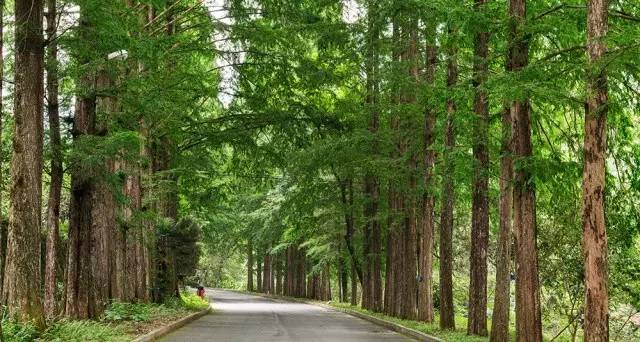 大茅山丨我们不只是红