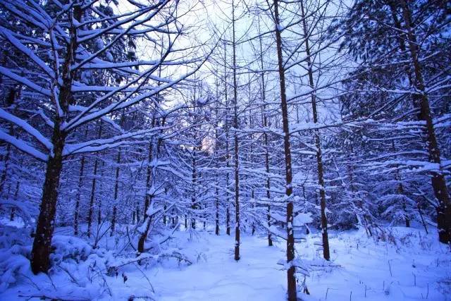 大茅山丨我们不只是红