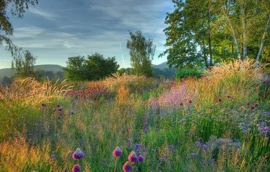 田艺苗的音乐教育,田艺苗的歌曲视频