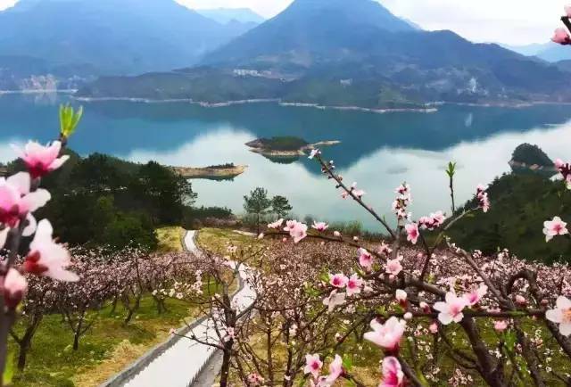 青田旅游路线推荐,青田周末自驾游