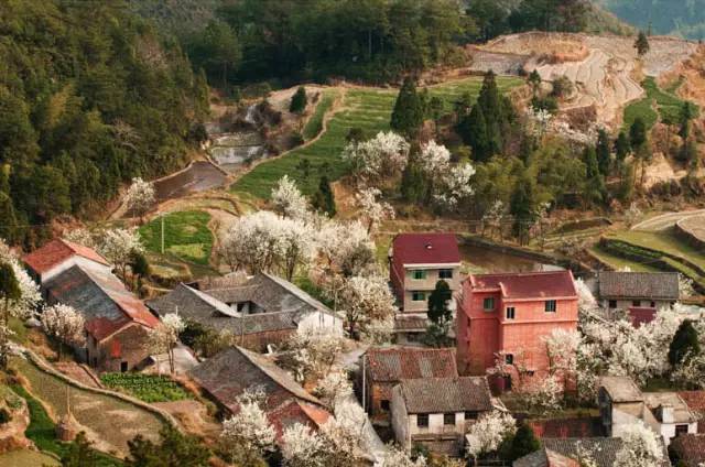 青田旅游路线推荐,青田周末自驾游