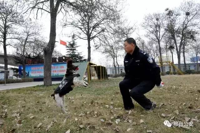 警察10秒勇擒逃犯,警察10秒钟擒获毒贩