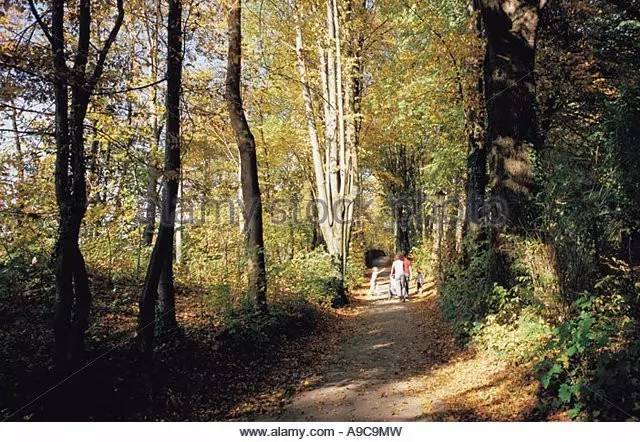 田艺苗的音乐教育,田艺苗的歌曲视频