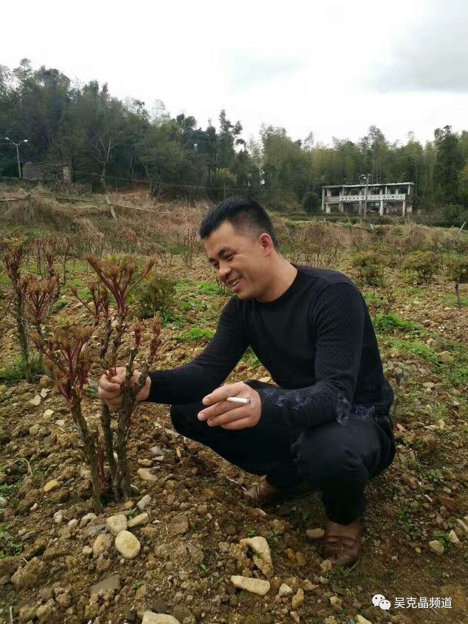 中年男人为什么都喜欢养花,中年男人为什么迷恋外面的女人