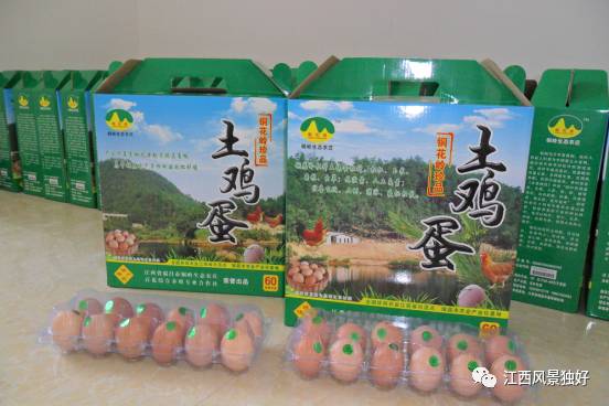 走遍江西100县永修县,走遍江西100县