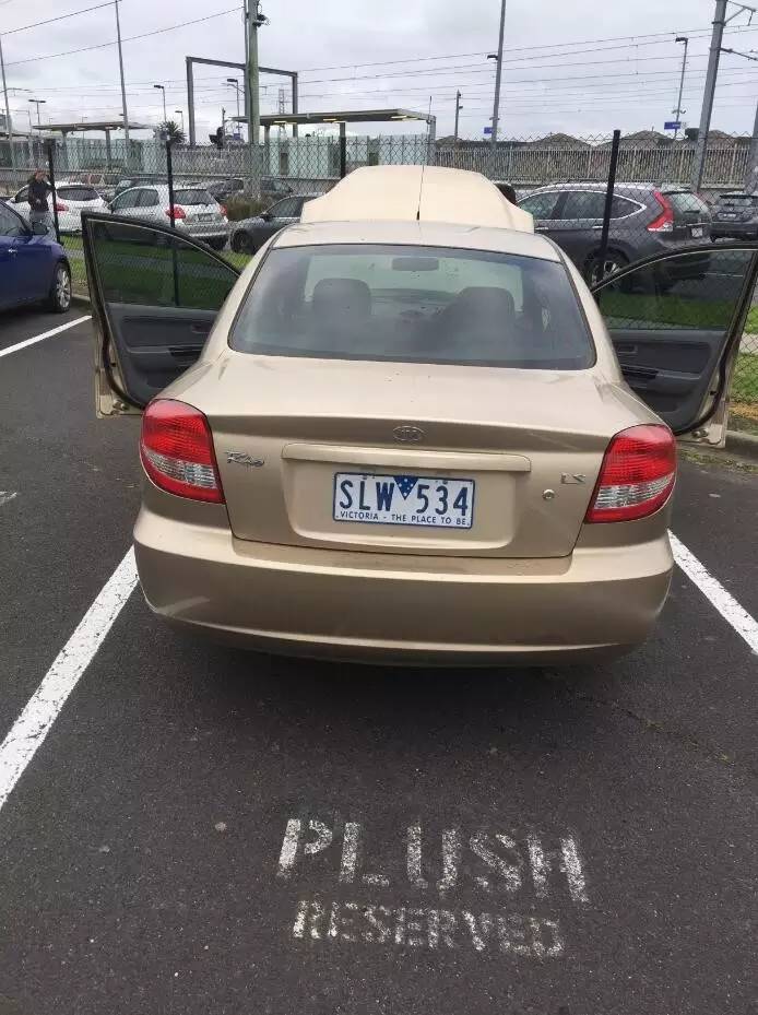 图说：在澳洲的日常（4）｜陈秋平