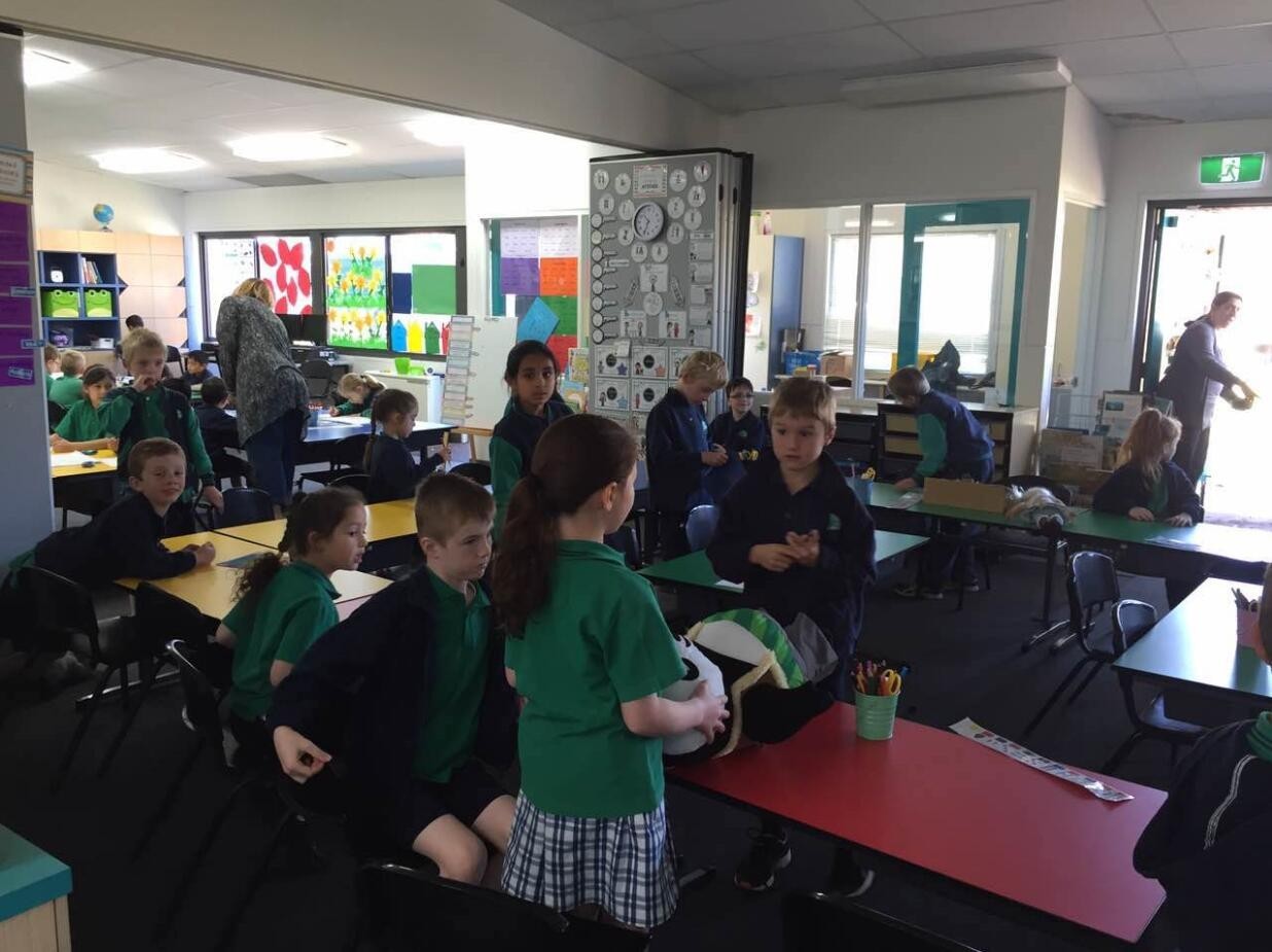 图说：在澳洲的日常（4）｜陈秋平