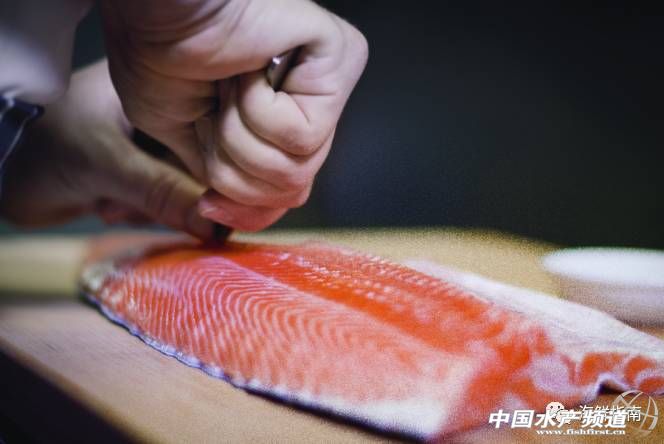 新西兰青口贝哪个好吃,鲍鱼扇贝生蚝哪个最好吃