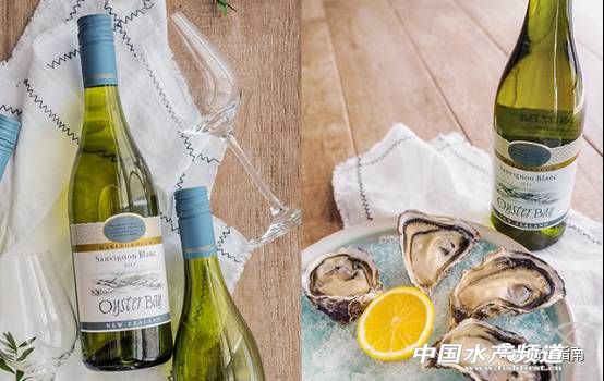 新西兰青口贝哪个好吃,鲍鱼扇贝生蚝哪个最好吃