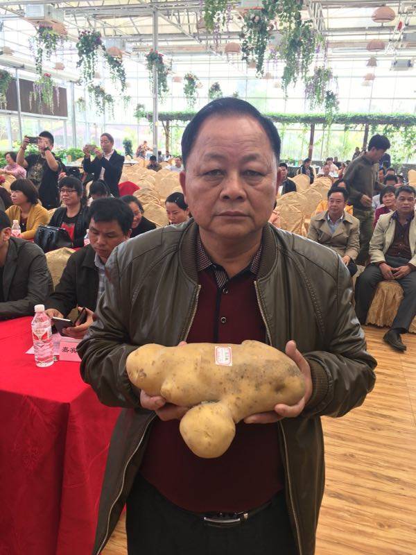 总重2.021公斤,“玉林薯王”横空出世!只是怎么觉得它长得像……