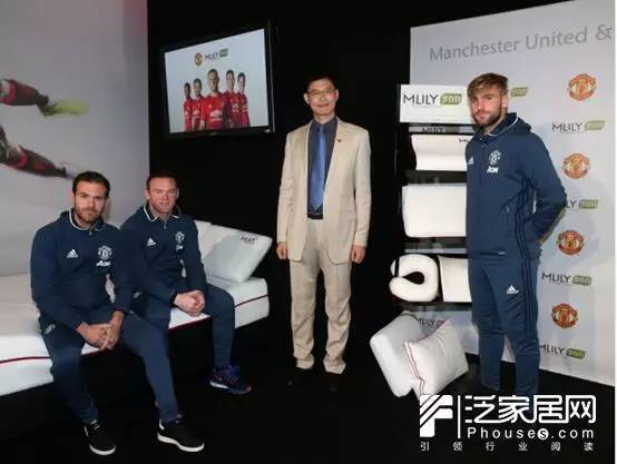 梦百合万利店,梦百合薇尔拆解