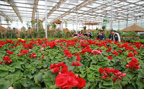 撸起袖子加油干砥砺前行,撸起袖子加油干谱写致富新篇章