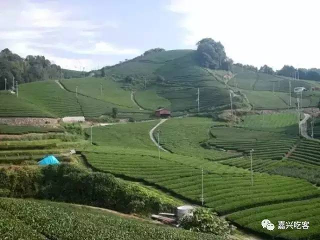 日本正宗抹茶店,一家精致的日式抹茶店