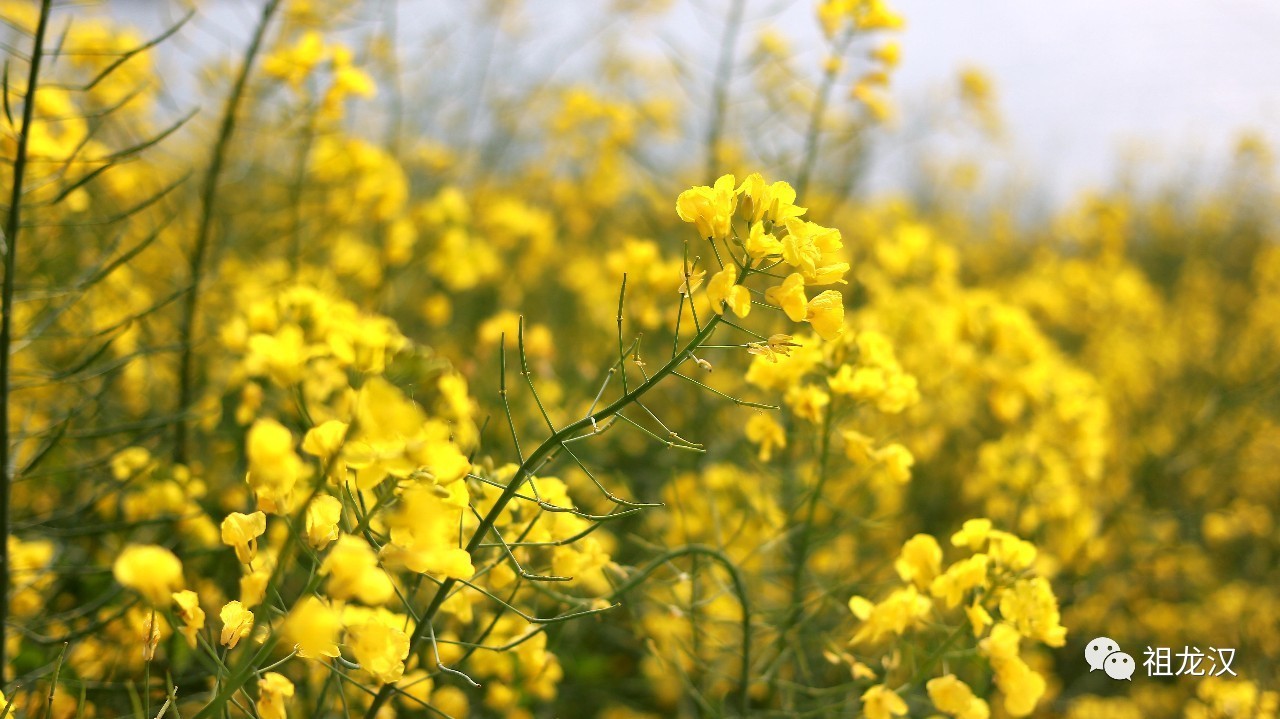 人生，难免因果重重：《易本道》第19期