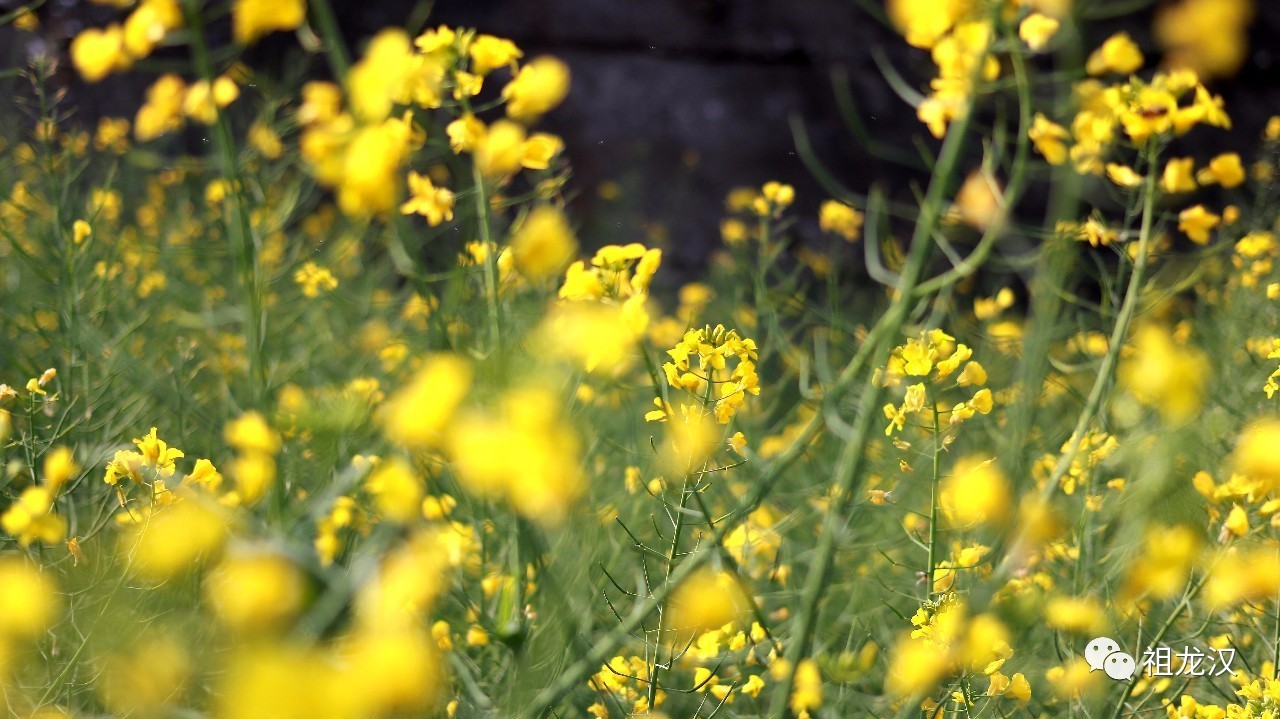 人生，难免因果重重：《易本道》第19期