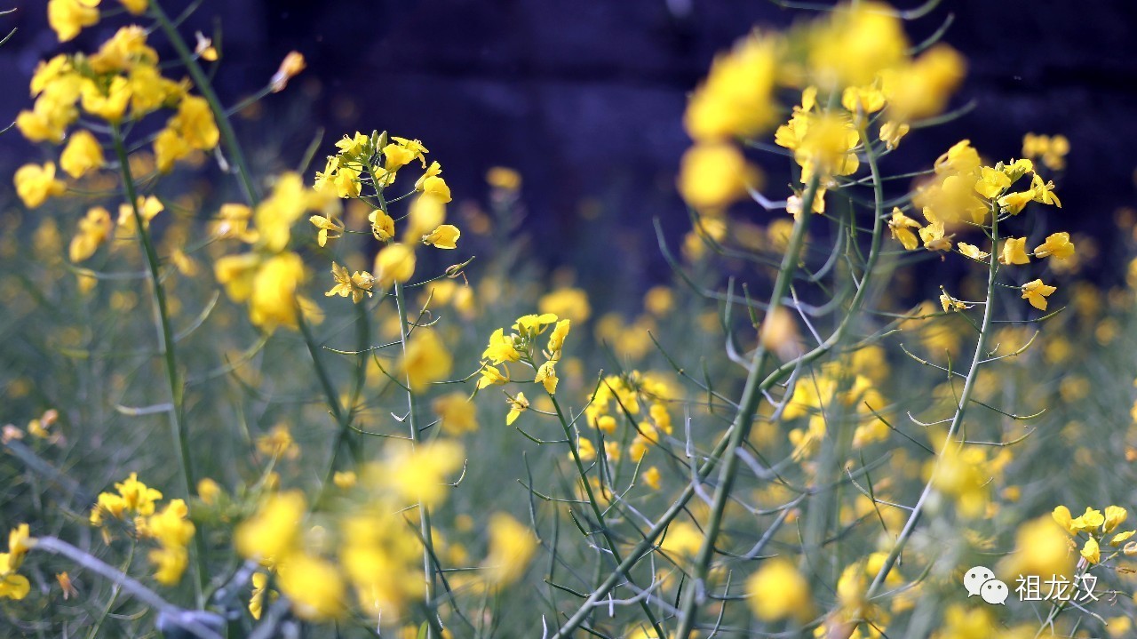 人生，难免因果重重：《易本道》第19期