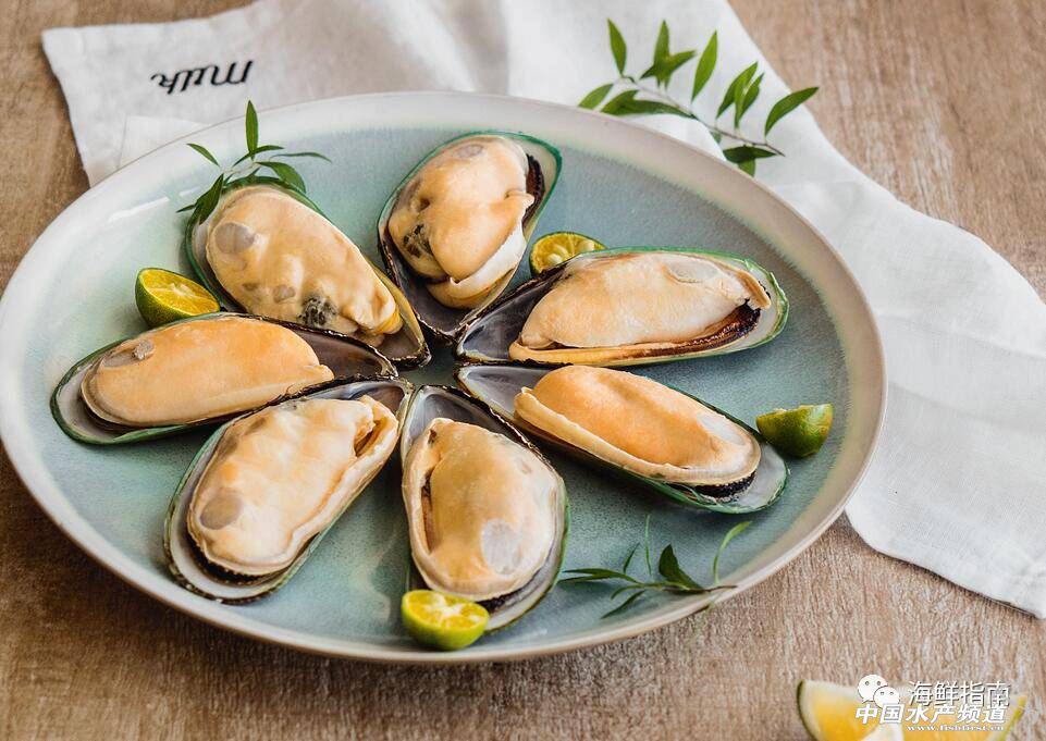 新西兰青口贝哪个好吃,鲍鱼扇贝生蚝哪个最好吃
