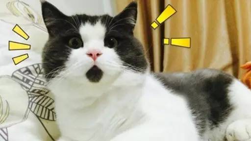 概率比中彩票还小的事,彩票和双色球一样吗