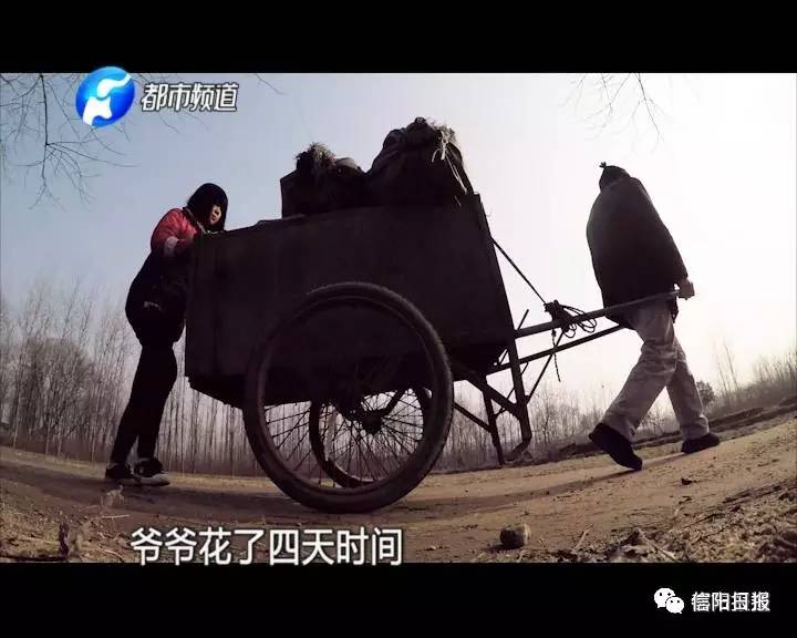 「城事」信阳小女孩无爹无娘,只是想让爷爷奶奶吃顿城里饭