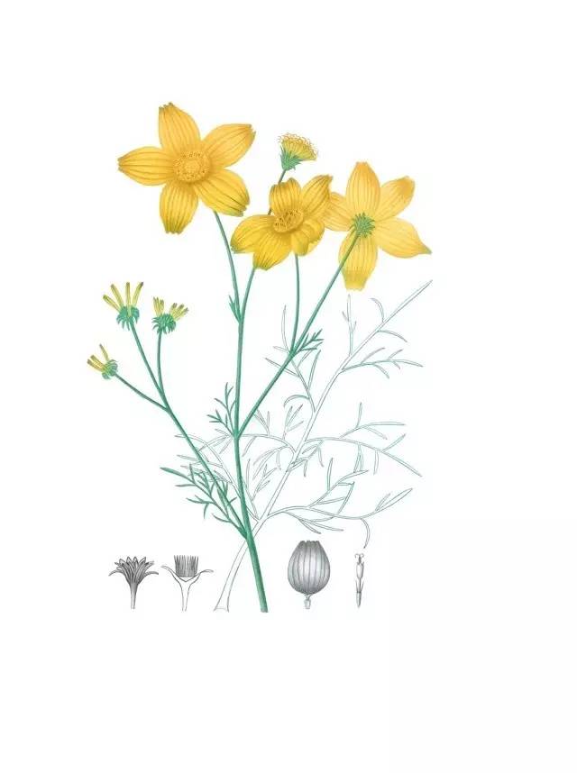 拉开孩子距离的不是智商,拉开孩子智力差距的时间