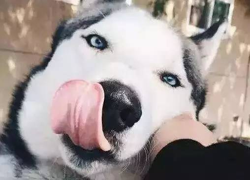 原谅我这一生不羁放纵完整版,原谅我这一生不羁放纵群星版