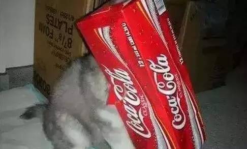 原谅我这一生不羁放纵完整版,原谅我这一生不羁放纵群星版