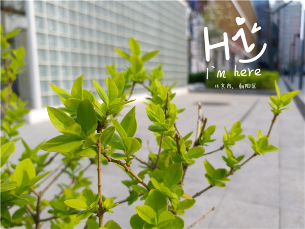 小屏手机旗舰质感三星C5Pro长体验