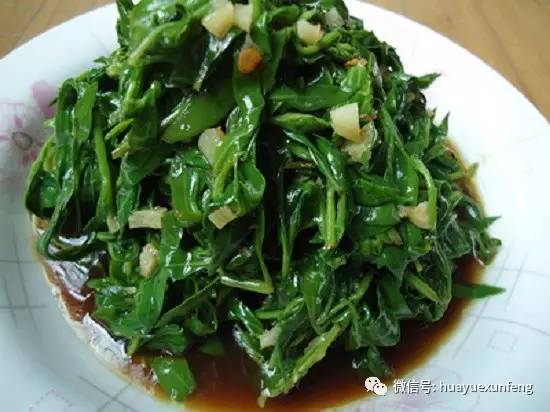 清明草和什么野菜最好吃,清明前后最鲜最应该吃的野草